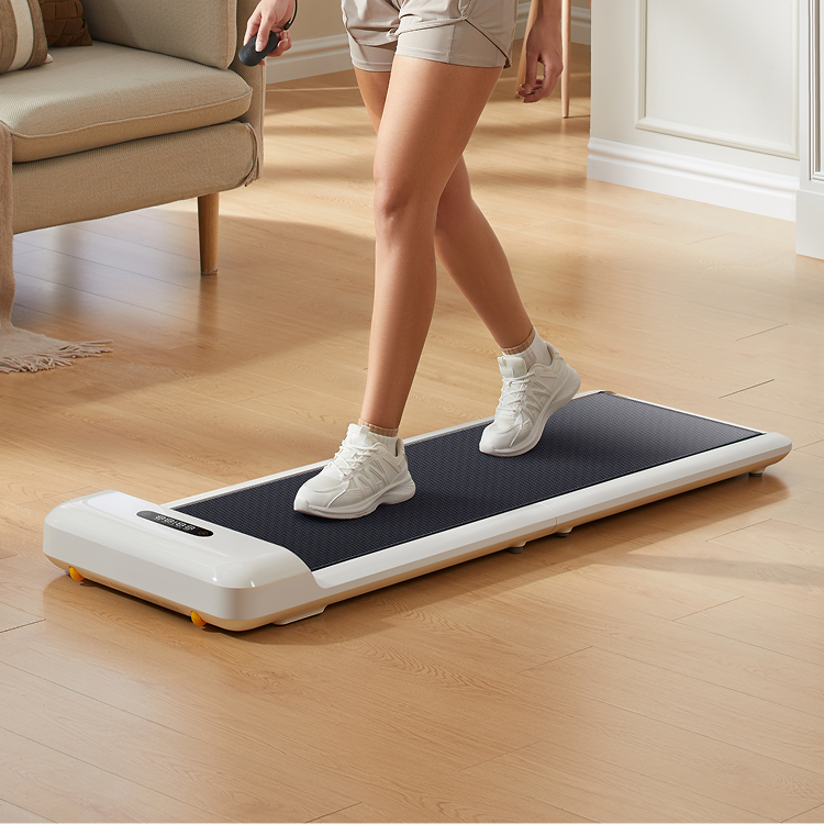 KingSmith WalkingPad