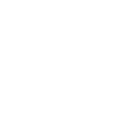<p>50 KG MAX RESISTANCE</p>