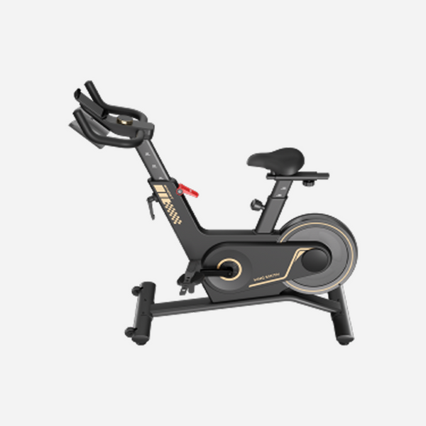 Sprint Bike PB08S