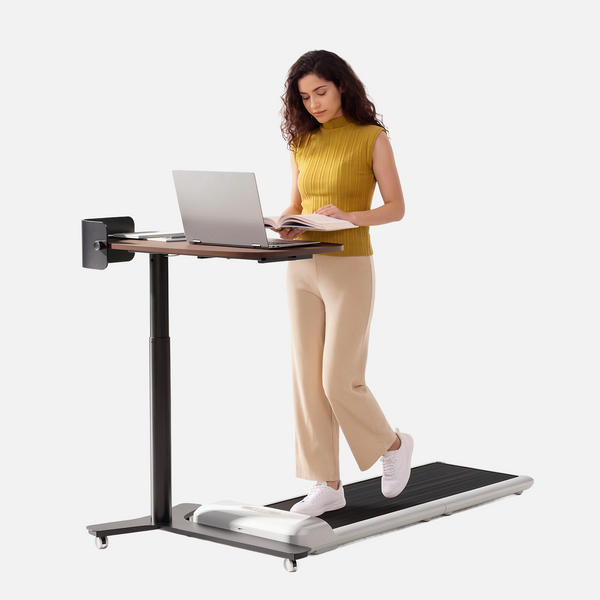 ETD2 Adjustable Standing Desk