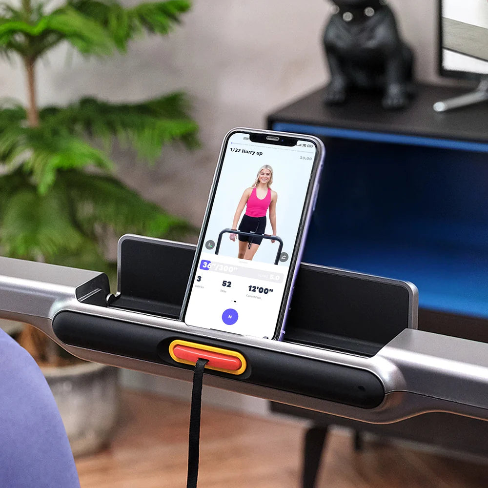 KingSmith WalkingPad