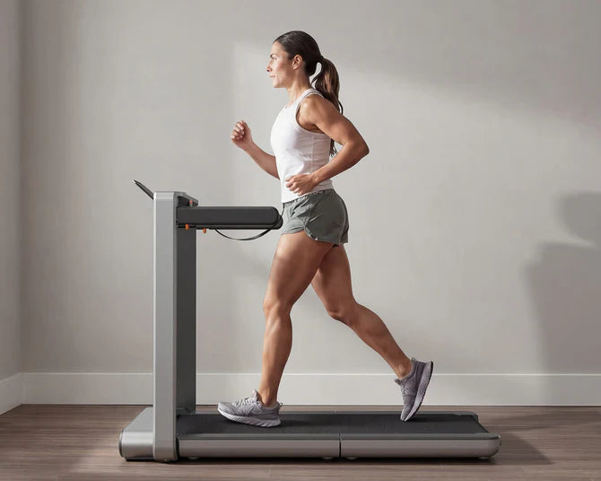 Vertical Fold Treadmills